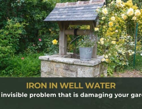 Iron in well water: the invisible problem that is damaging your garden
