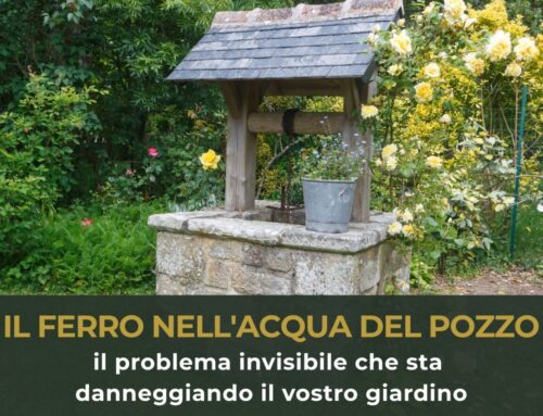 Il ferro nell’acqua del pozzo: il problema invisibile che sta danneggiando il vostro giardino